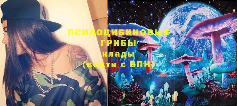 Псилоцибиновые грибы Magic Shrooms Гусиноозёрск